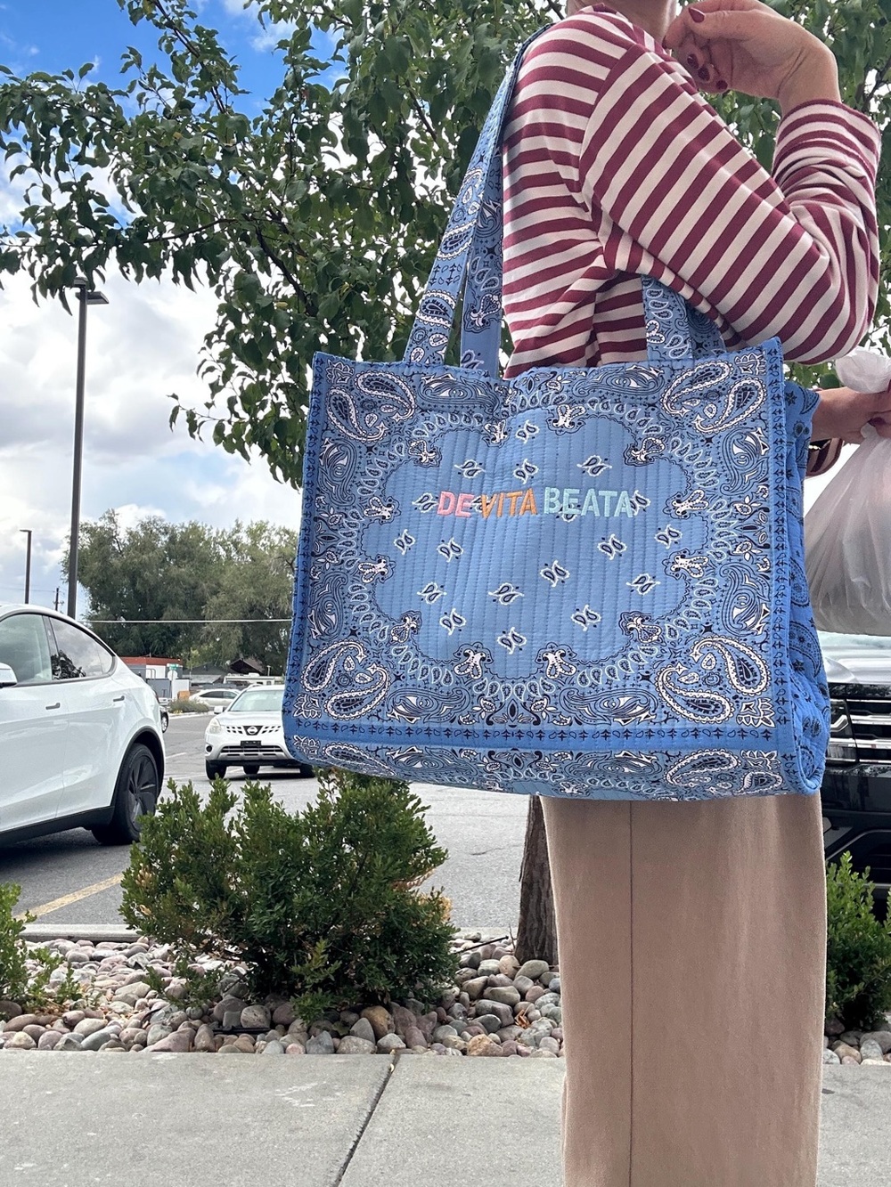 Blue Bandana Tote / shoulder Bag
